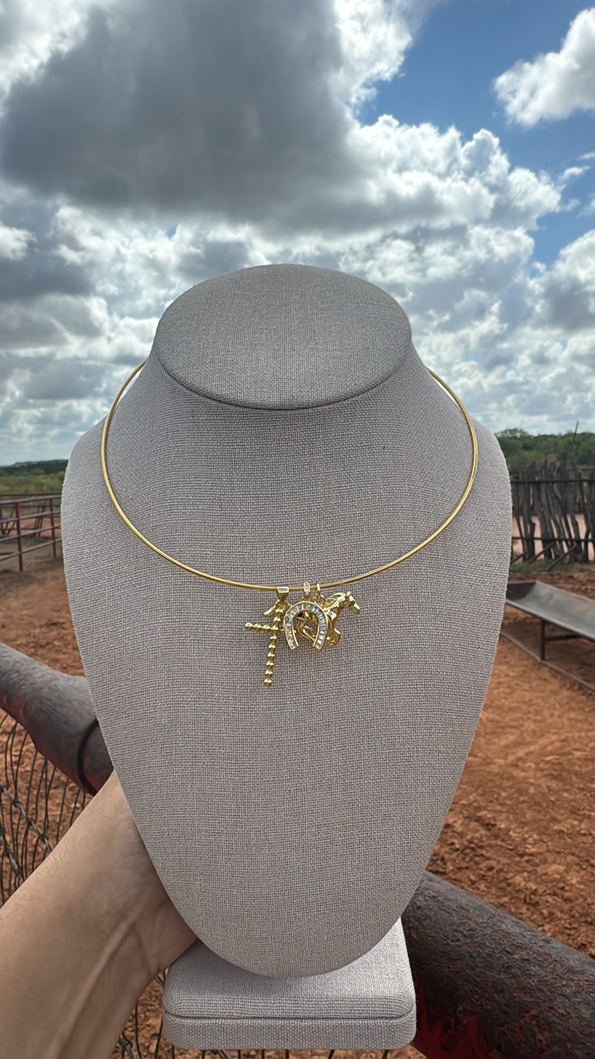 Wild Horse Collar Necklace