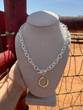 Mixed metal horseshoe